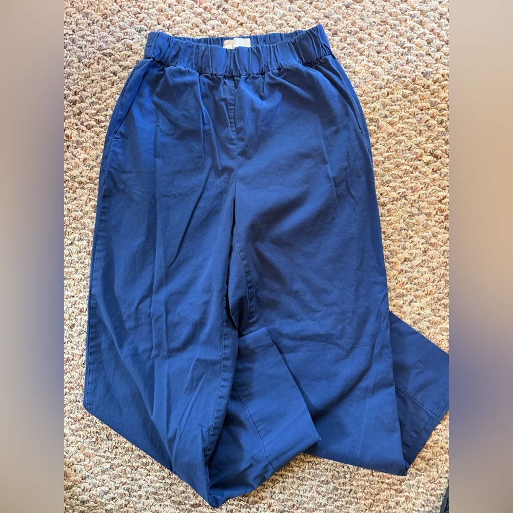 Everlane Navy Organic Cotton Pants, Size 0